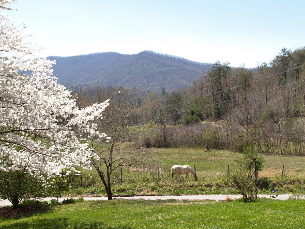 Henson Cove Place Bed And Breakfast W/Cabin Hiawassee Exterior photo